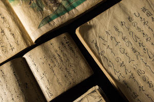 Sino-Japanese Interactions Through Rare Books